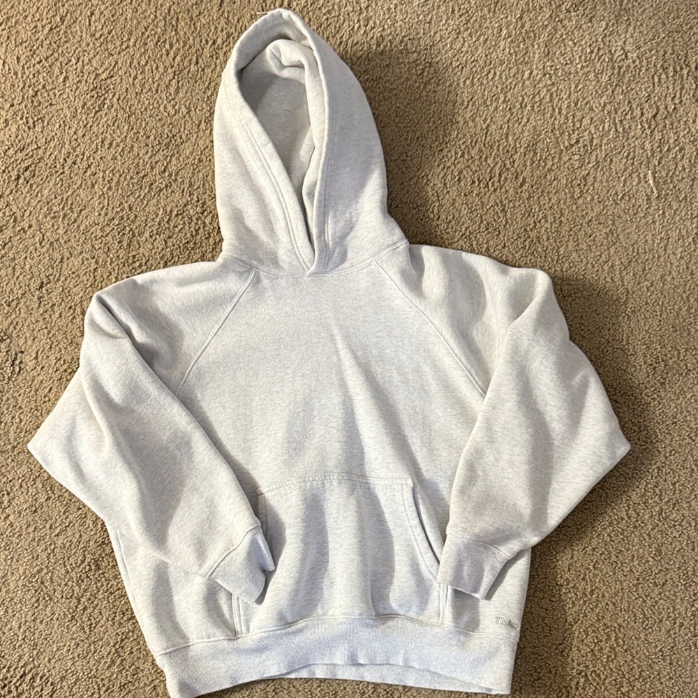Aritzia Gray Hoodie
